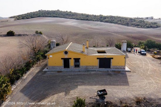 Finca en venta en El Cuervo de Sevilla (Sevilla)