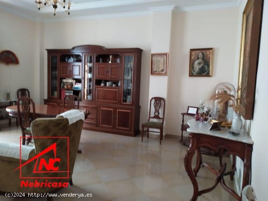 Casa en venta en Lebrija (Sevilla)