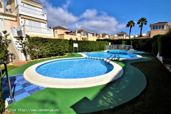  Bungalow en alquiler en Guardamar del Segura (Alicante) 