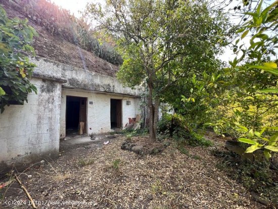 Casa en venta en Moya (Las Palmas)