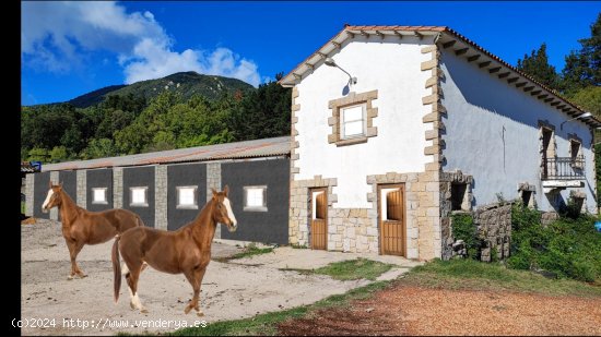 Finca en venta en Riells i Viabrea (Girona)