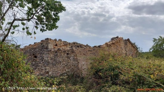  Finca en venta en Fuentespalda (Teruel) 