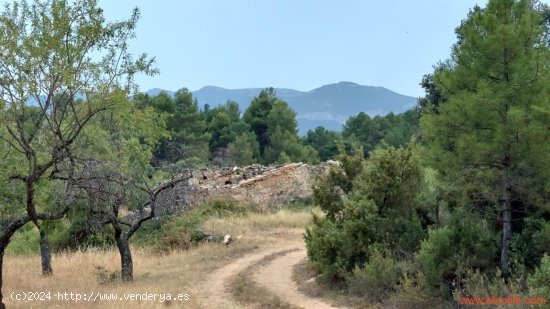 Finca en venta en Fuentespalda (Teruel)