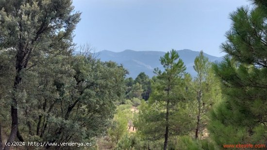 Finca en venta en Fuentespalda (Teruel)