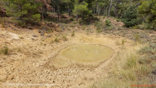 Finca en venta en Fuentespalda (Teruel)