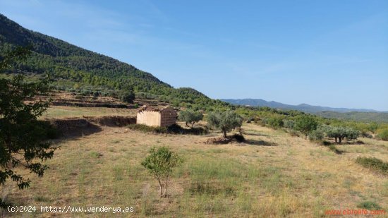  Finca en venta en Fuentespalda (Teruel) 