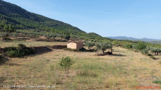 Finca en venta en Fuentespalda (Teruel)