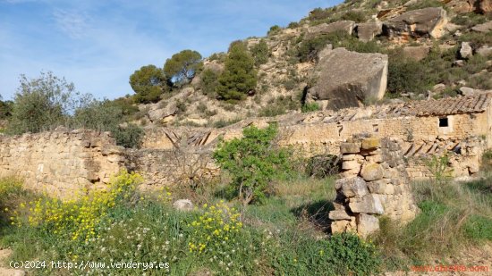 Finca en venta en Alcañiz (Teruel)