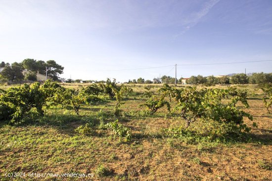 Solar en venta en Benissa (Alicante)