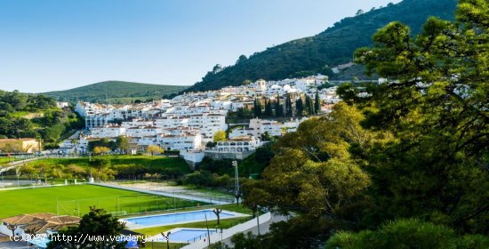 Parcela en venta en Benahavís (Málaga)