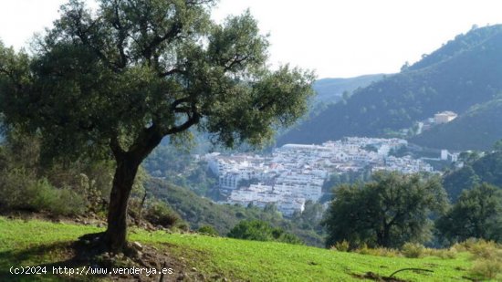 Parcela en venta en Benahavís (Málaga)