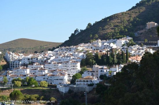 Parcela en venta en Benahavís (Málaga)