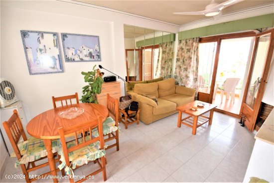 Bungalow en alquiler en Guardamar del Segura (Alicante)