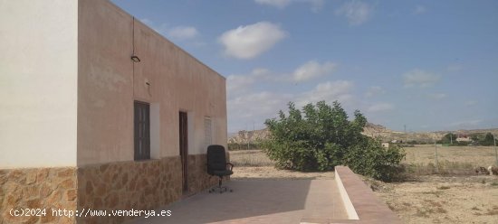 Casa en alquiler en Antas (Almería)