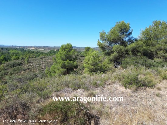 Finca en venta en Fabara (Zaragoza)