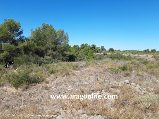 Finca en venta en Fabara (Zaragoza)