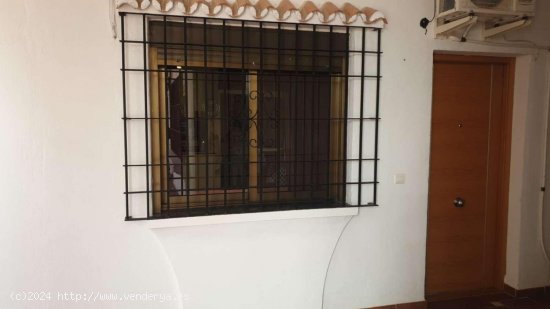 Apartamento en alquiler en Torremolinos (Málaga)