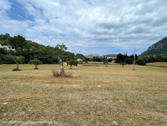  Solar en venta en Pollença (Baleares) 