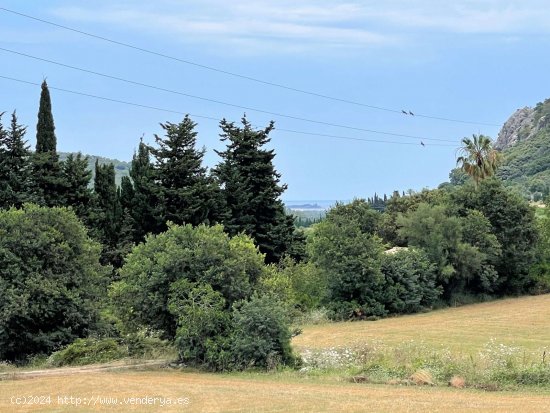 Solar en venta en Pollença (Baleares)