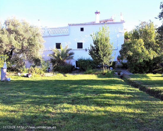  Casa en venta en Cádiar (Granada) 