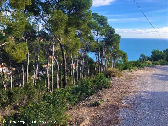 Parcela en venta en Jávea (Alicante)