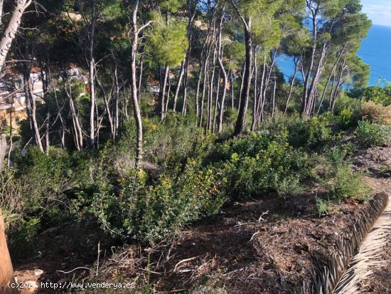 Parcela en venta en Jávea (Alicante)