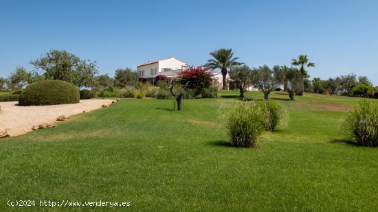 Finca en venta en Santanyí (Baleares)