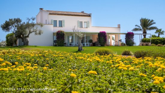 Finca en venta en Santanyí (Baleares)