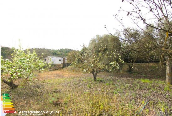 Solar en venta en Coín (Málaga)