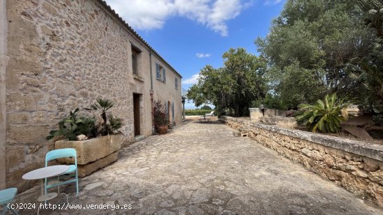 Finca en alquiler en Muro (Baleares)