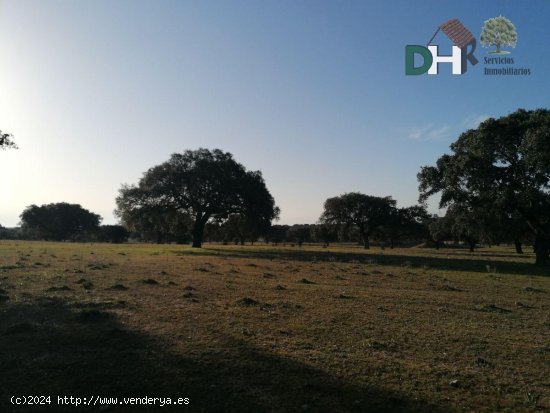 Solar en venta en Cáceres (Cáceres)