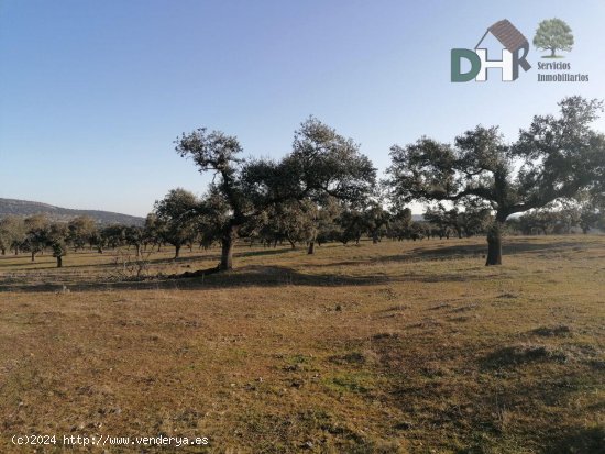 Solar en venta en Cáceres (Cáceres)