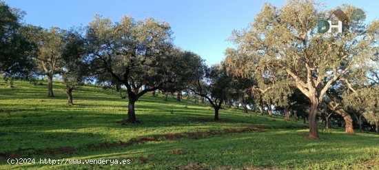 Solar en venta en Huelva (Huelva)