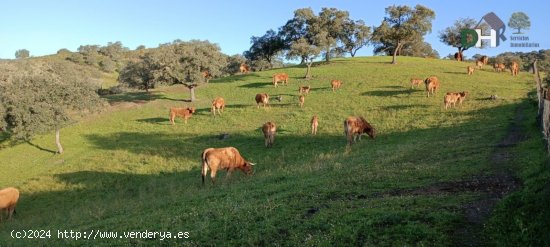 Solar en venta en Huelva (Huelva)