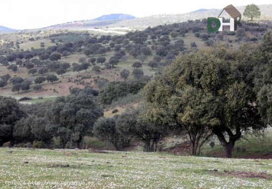 Solar en venta en Badajoz (Badajoz)