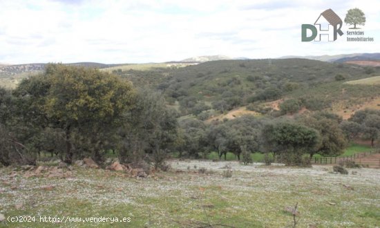 Solar en venta en Badajoz (Badajoz)