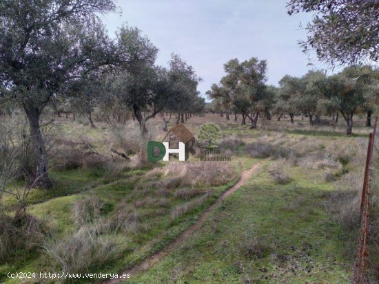 Solar en venta en Cáceres (Cáceres)