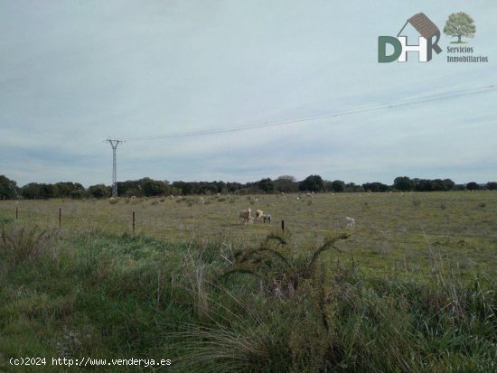 Solar en venta en Cáceres (Cáceres)