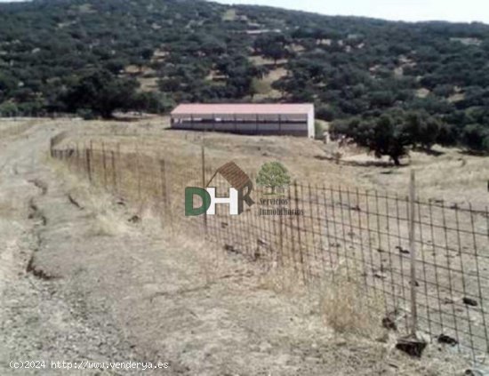 Solar en venta en Jerez de los Caballeros (Badajoz)