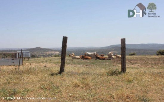  Solar en venta en Cáceres (Cáceres) 