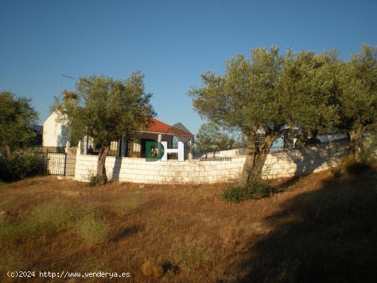  Casa en venta en Brozas (Cáceres) 