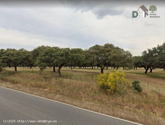 Solar en venta en Cáceres (Cáceres)