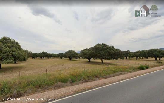 Solar en venta en Cáceres (Cáceres)