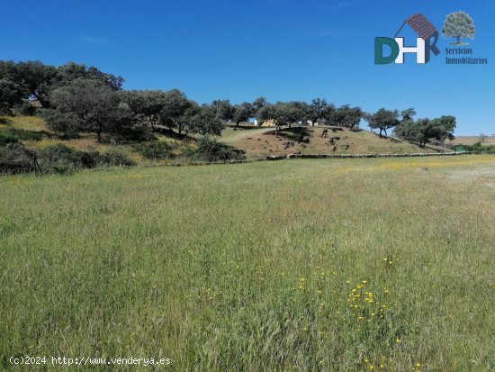 Solar en venta en Cáceres (Cáceres)