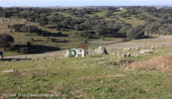 Solar en venta en Cáceres (Cáceres)