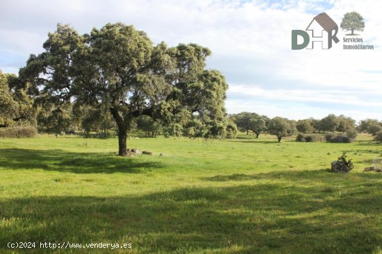 Solar en venta en Cáceres (Cáceres)