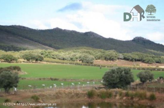 Solar en venta en Cáceres (Cáceres)