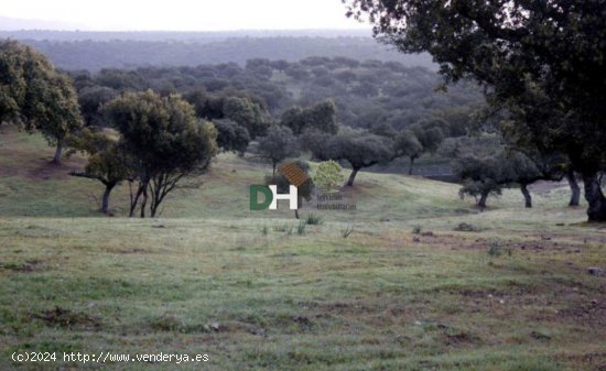 Solar en venta en Cáceres (Cáceres)