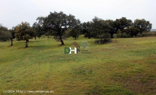 Solar en venta en Cáceres (Cáceres)