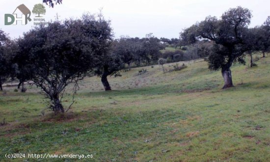 Solar en venta en Cáceres (Cáceres)